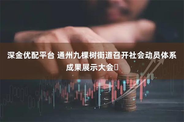 深金优配平台 通州九棵树街道召开社会动员体系成果展示大会