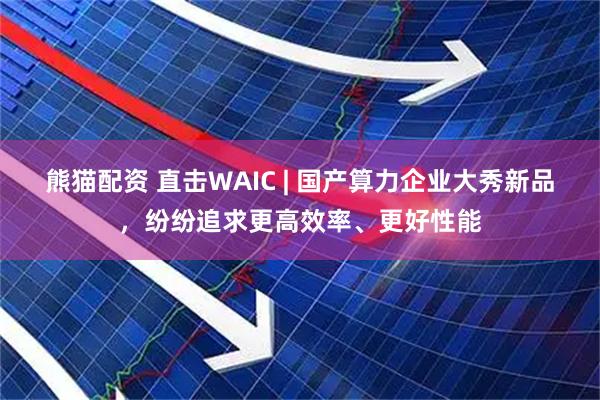 熊猫配资 直击WAIC | 国产算力企业大秀新品，纷纷追求更高效率、更好性能