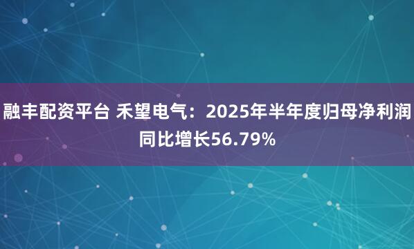 融丰配资平台 禾望电气：2025年半年度归母净利润同比增长56.79%